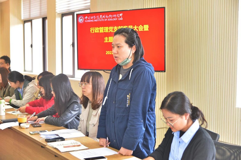 电子游戏app下载安装