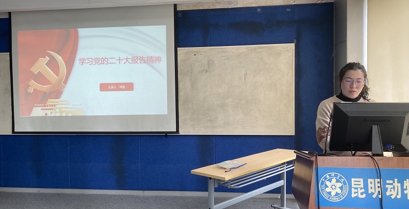 电子游戏app下载安装