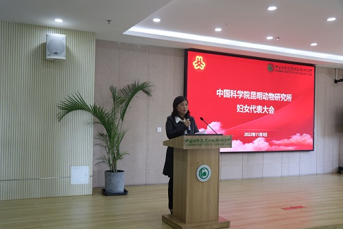 电子游戏app下载安装