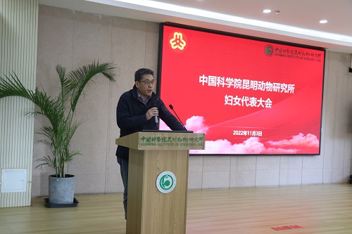 电子游戏app下载安装