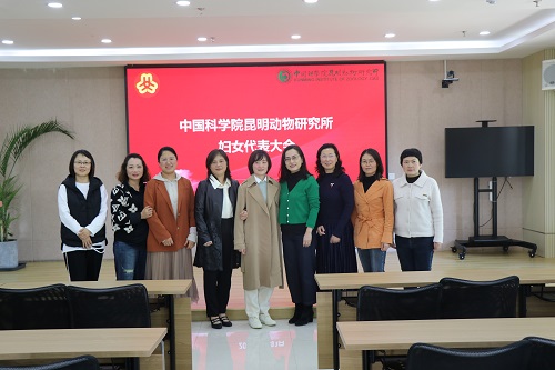 电子游戏app下载安装