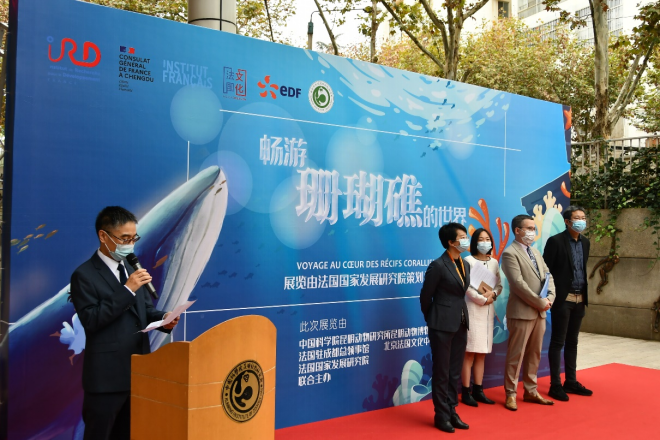 电子游戏app下载安装