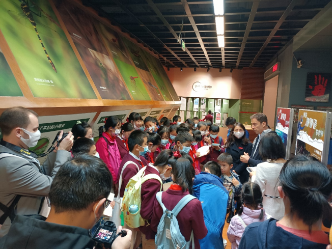 电子游戏app下载安装