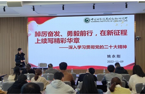 电子游戏app下载安装