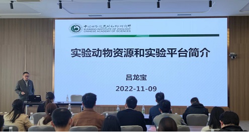 电子游戏app下载安装