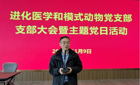 电子游戏app下载安装