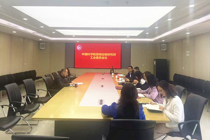 电子游戏app下载安装