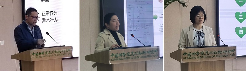 电子游戏app下载安装