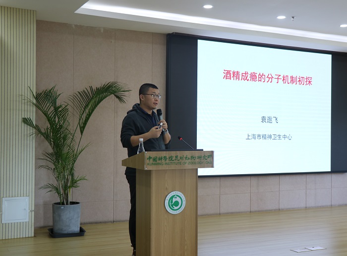 电子游戏app下载安装