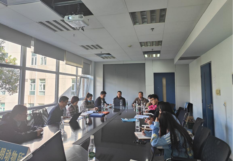 电子游戏app下载安装