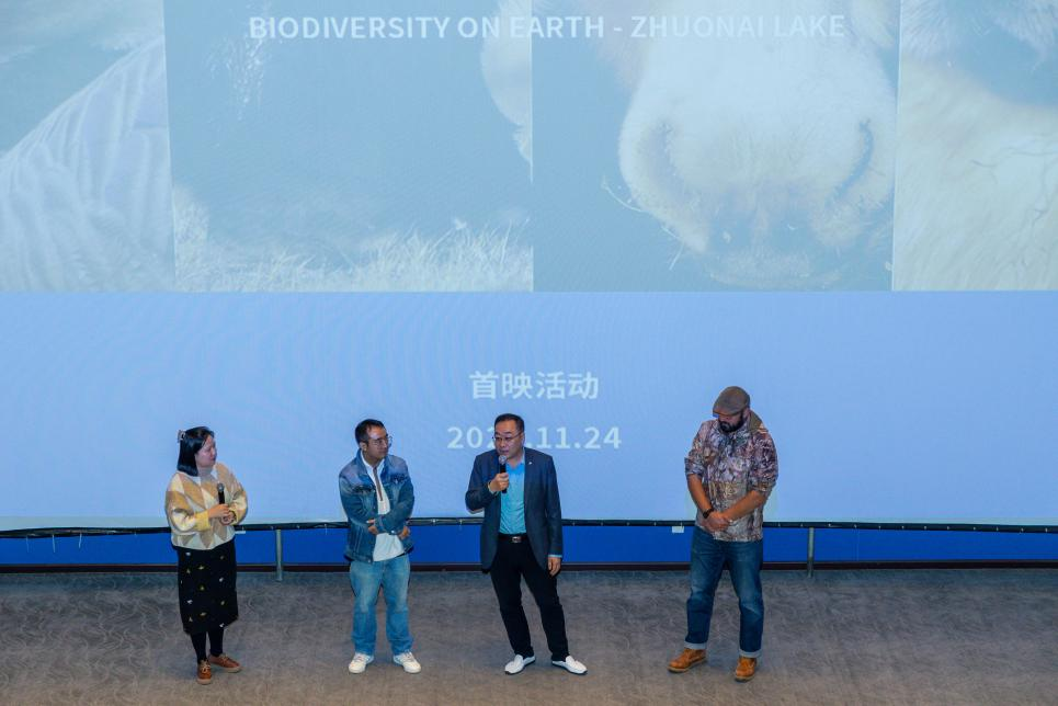 电子游戏app下载安装