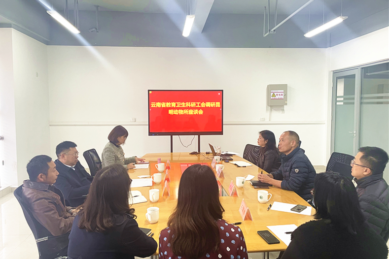 电子游戏app下载安装