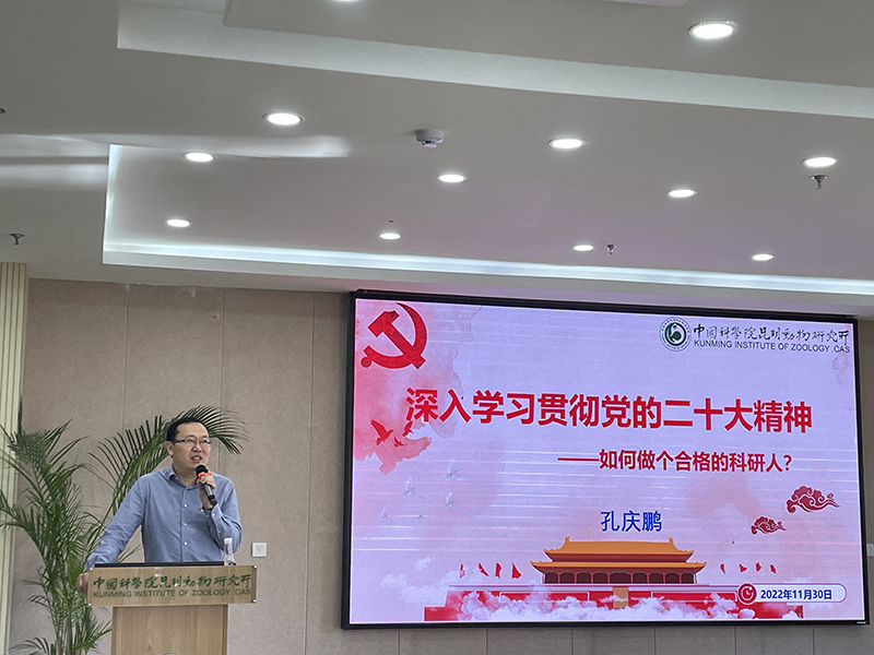 电子游戏app下载安装