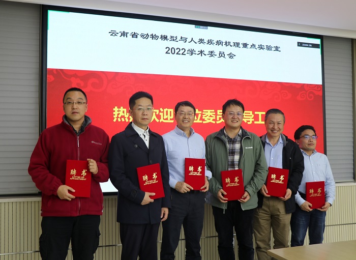 电子游戏app下载安装