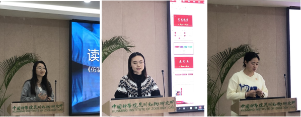 电子游戏app下载安装