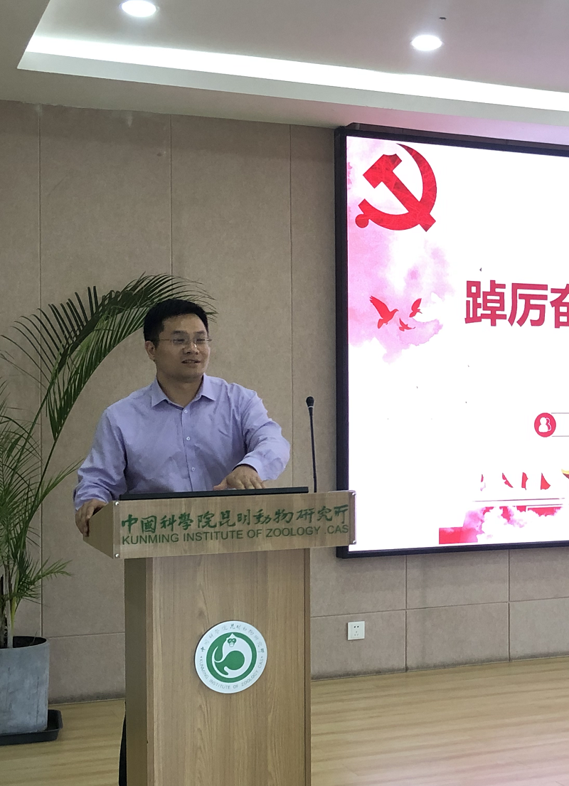 电子游戏app下载安装