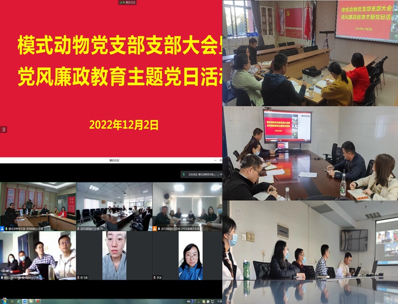 电子游戏app下载安装