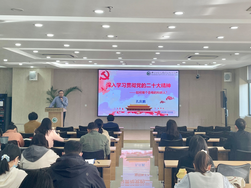 电子游戏app下载安装