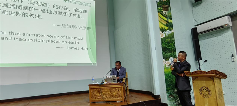 电子游戏app下载安装