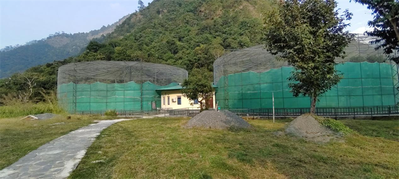 电子游戏app下载安装