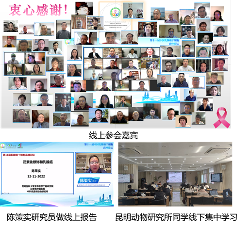 电子游戏app下载安装