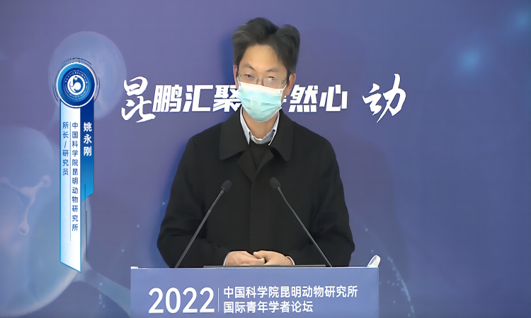 电子游戏app下载安装