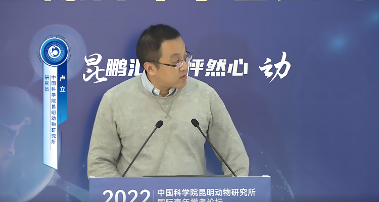 电子游戏app下载安装