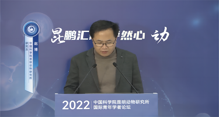 电子游戏app下载安装