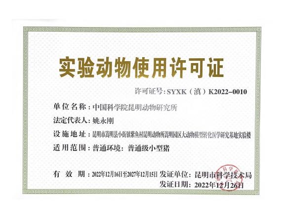 电子游戏app下载安装