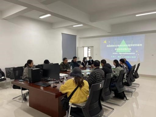 电子游戏app下载安装