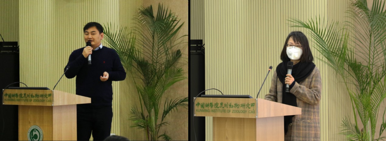 电子游戏app下载安装