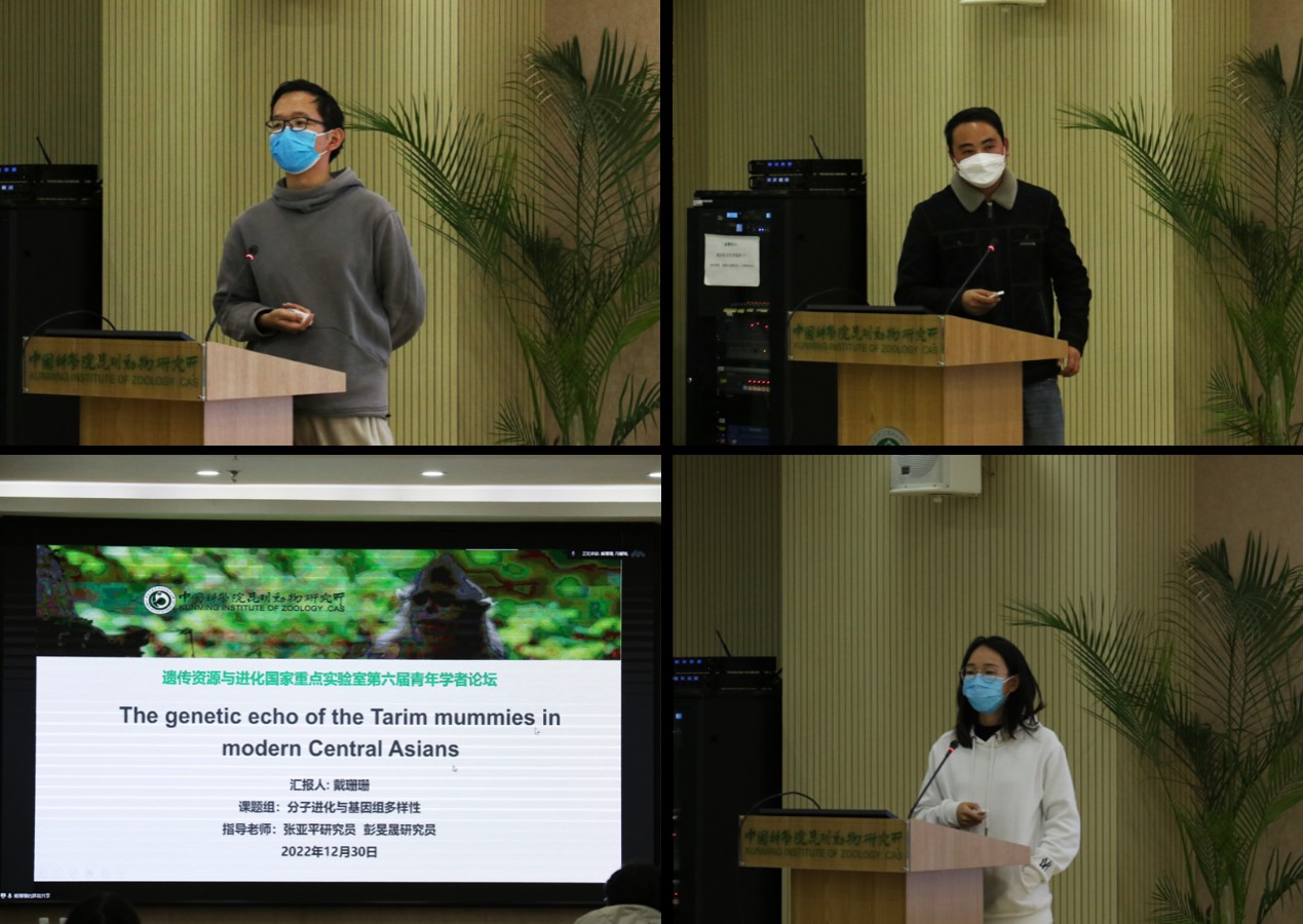 电子游戏app下载安装