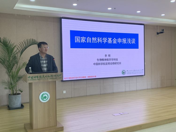 电子游戏app下载安装