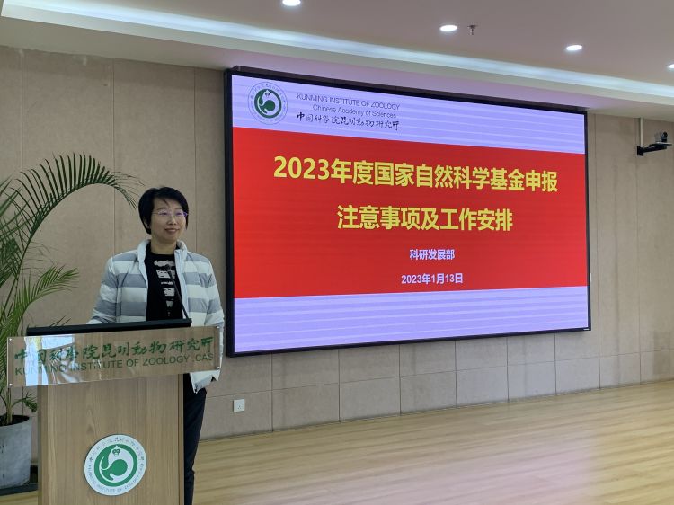 电子游戏app下载安装