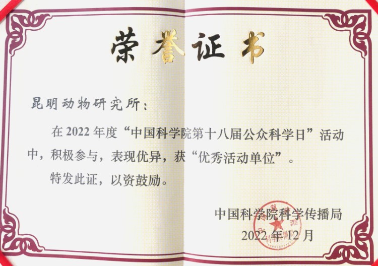 电子游戏app下载安装