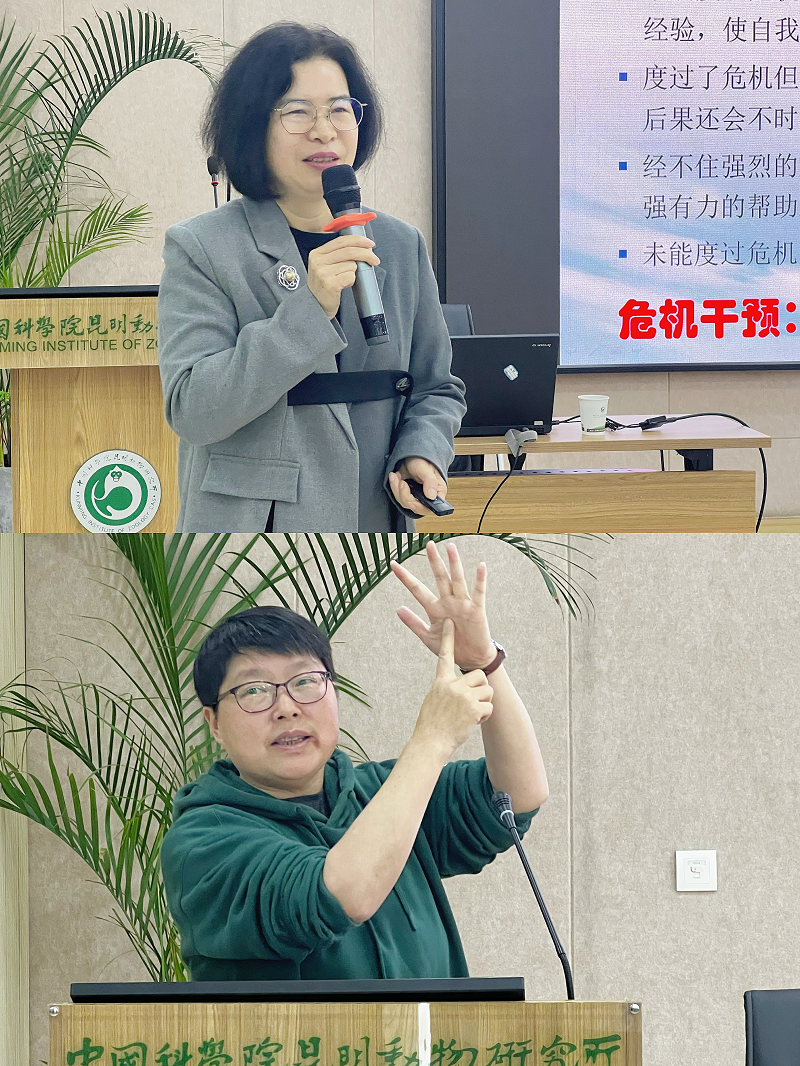 电子游戏app下载安装