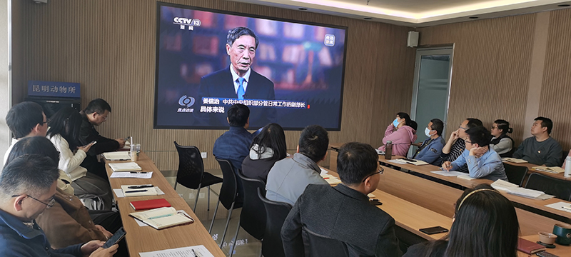 电子游戏app下载安装