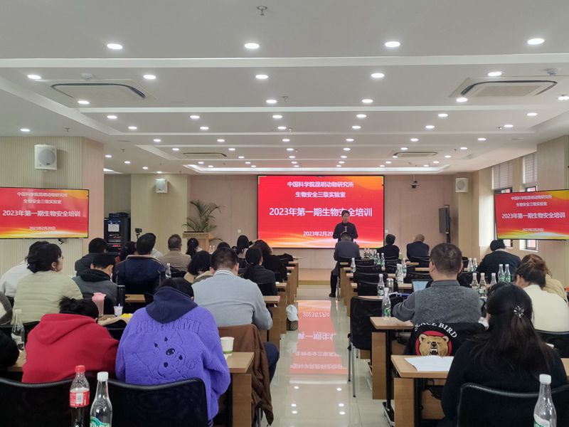 电子游戏app下载安装