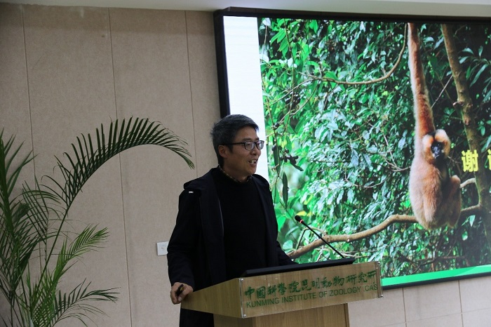 电子游戏app下载安装