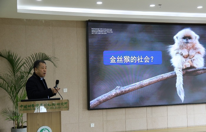 电子游戏app下载安装