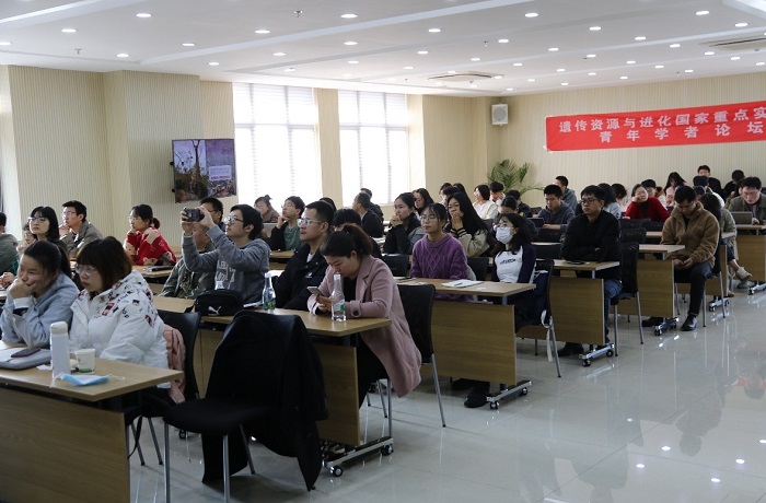 电子游戏app下载安装