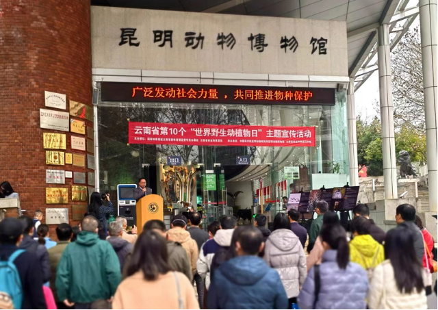 电子游戏app下载安装