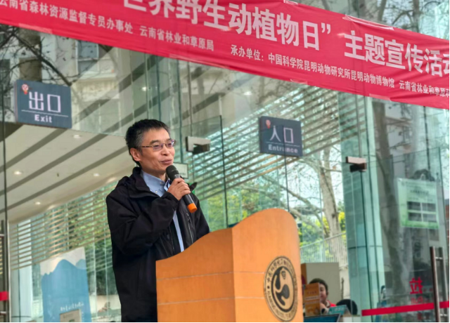 电子游戏app下载安装