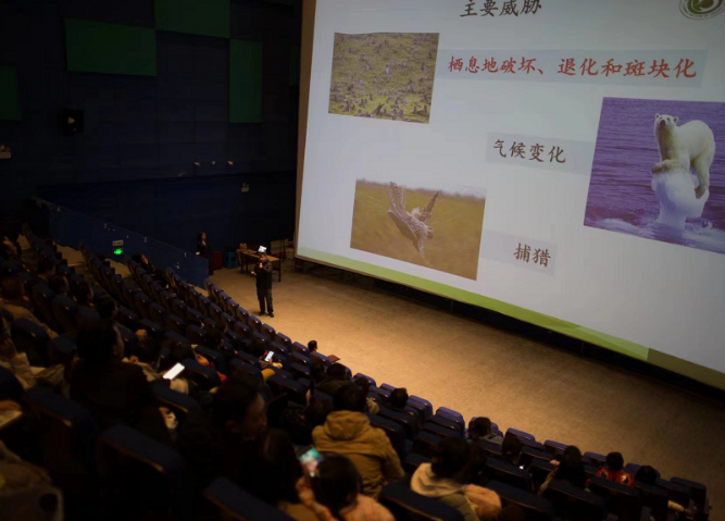 电子游戏app下载安装