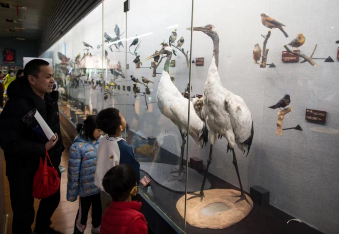 电子游戏app下载安装