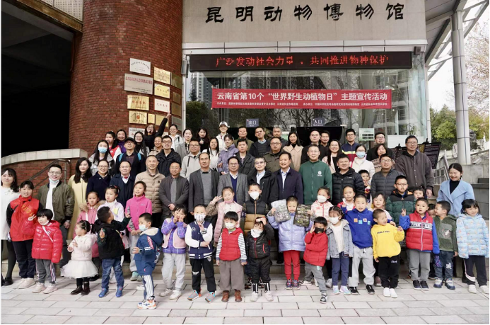 电子游戏app下载安装