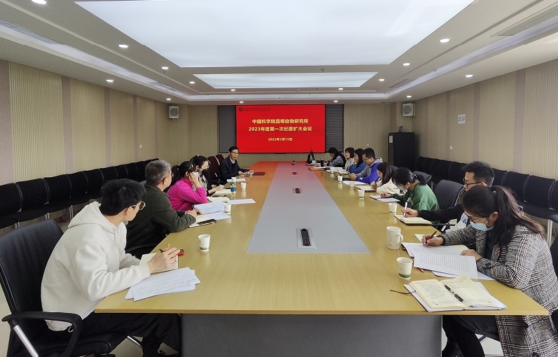 电子游戏app下载安装