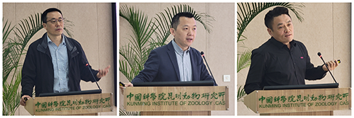 电子游戏app下载安装