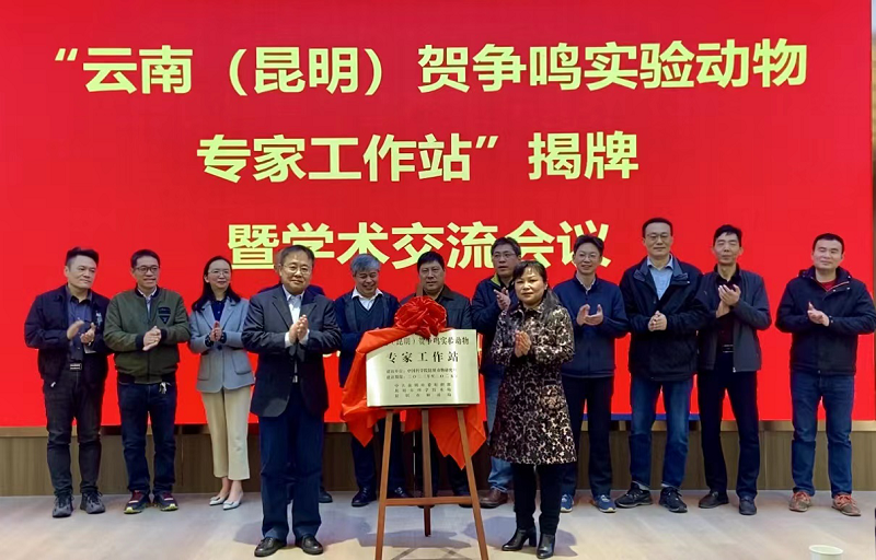 电子游戏app下载安装