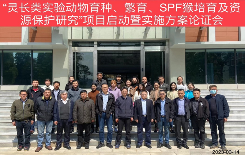 电子游戏app下载安装